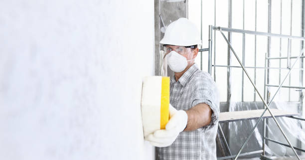 Professional Mold Removal in Cressona, PA